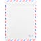 JAM Paper 10" x 13" White Airmail Tyvek Envelopes, 25ct.